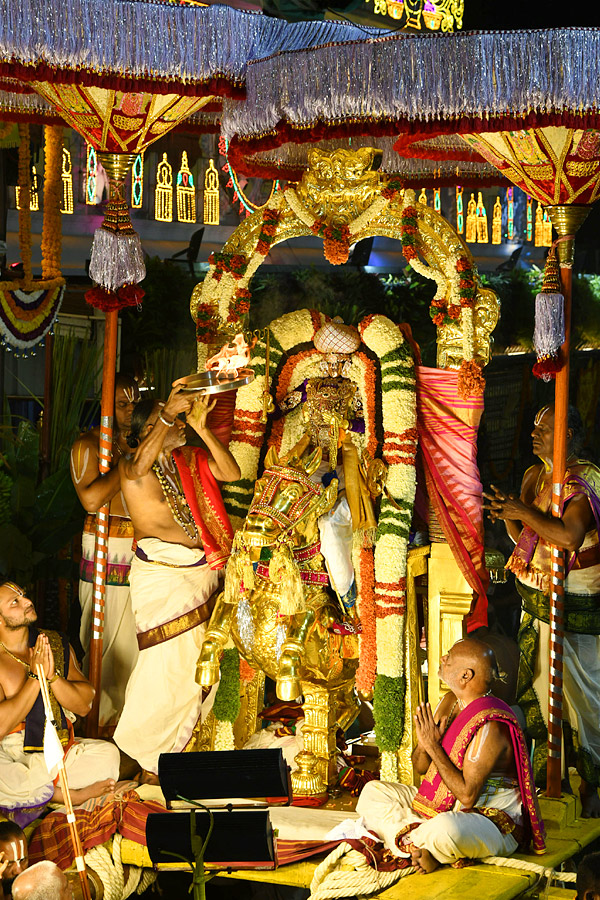 Sri Venkateswara Swamy Rathotsavam at Tirumala Temple Photos8