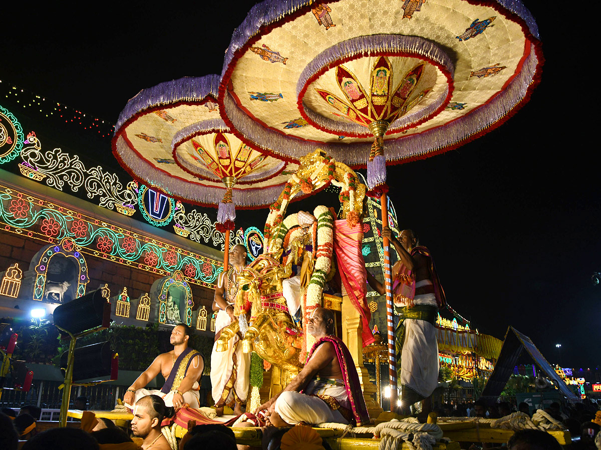 Sri Venkateswara Swamy Rathotsavam at Tirumala Temple Photos9