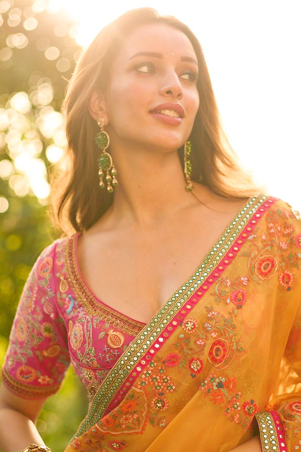 Tripti Dimri Gorgeous in saree Stunning Looks Photos10