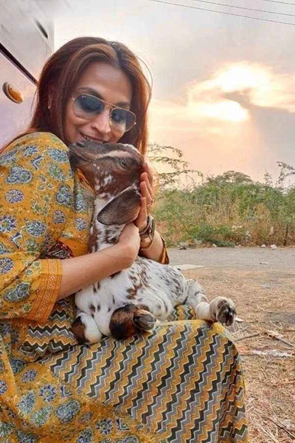 Is Hero Dhanush - Aishwarya Rajinikanth Divorce Cancel? rumors on social media Photos8