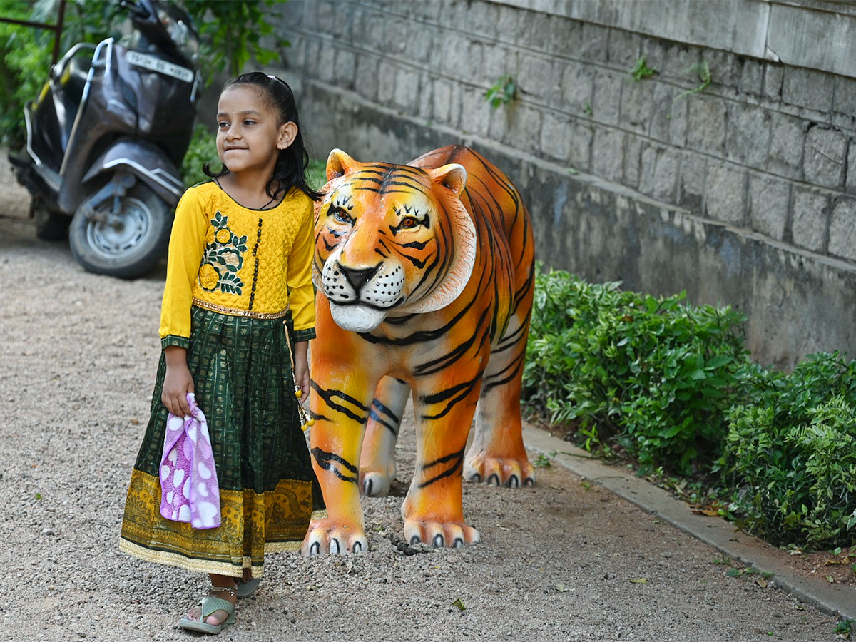 Free Entry For Praja Sambaralu in KBR Park1