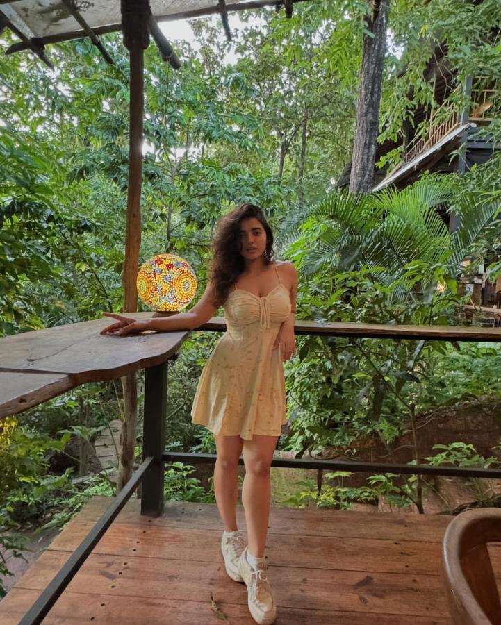 Actress Ketika Sharma Latest Photo Gallery Goes Viral2