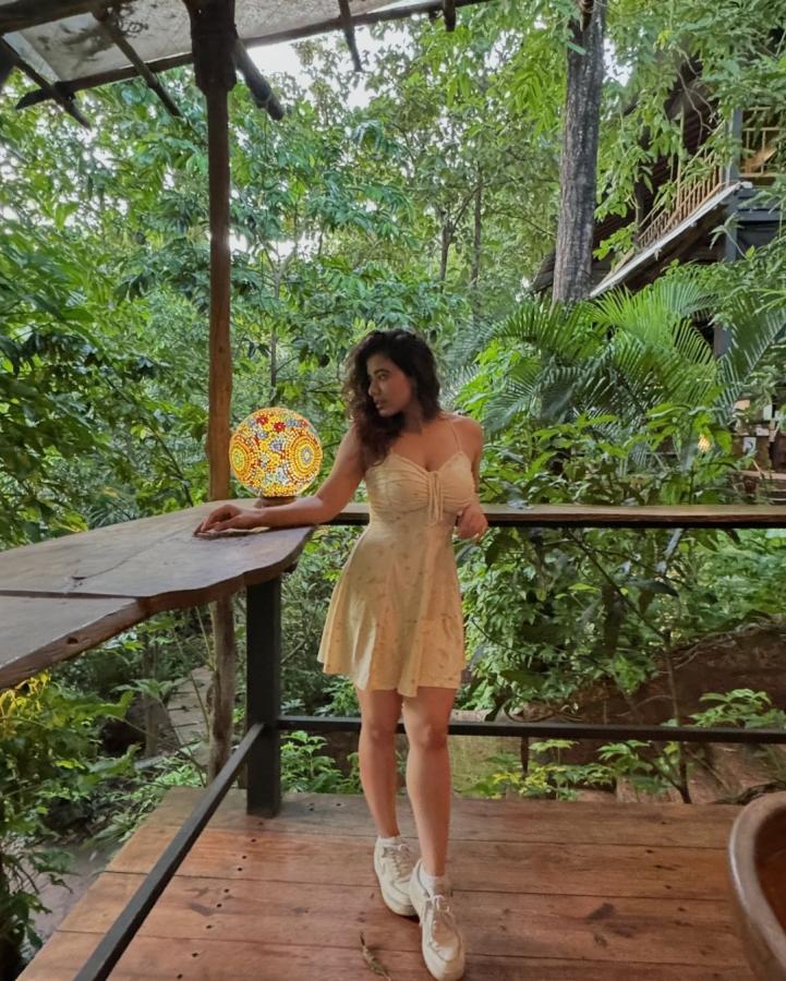 Actress Ketika Sharma Latest Photo Gallery Goes Viral3