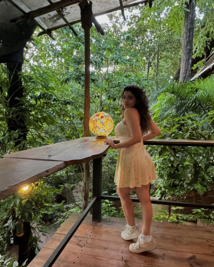 Actress Ketika Sharma Latest Photo Gallery Goes Viral5