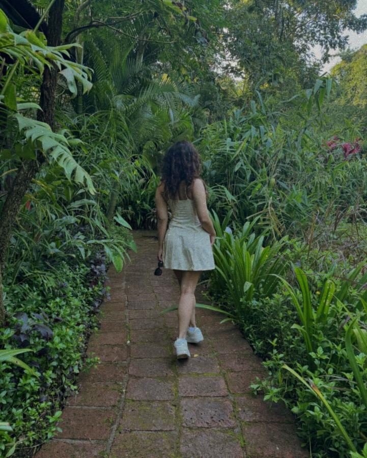 Actress Ketika Sharma Latest Photo Gallery Goes Viral9