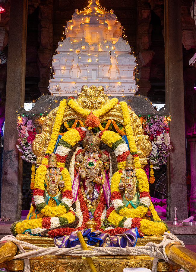 Tirumala Sri Venkateswara Swamy Brahmotsavam 202429