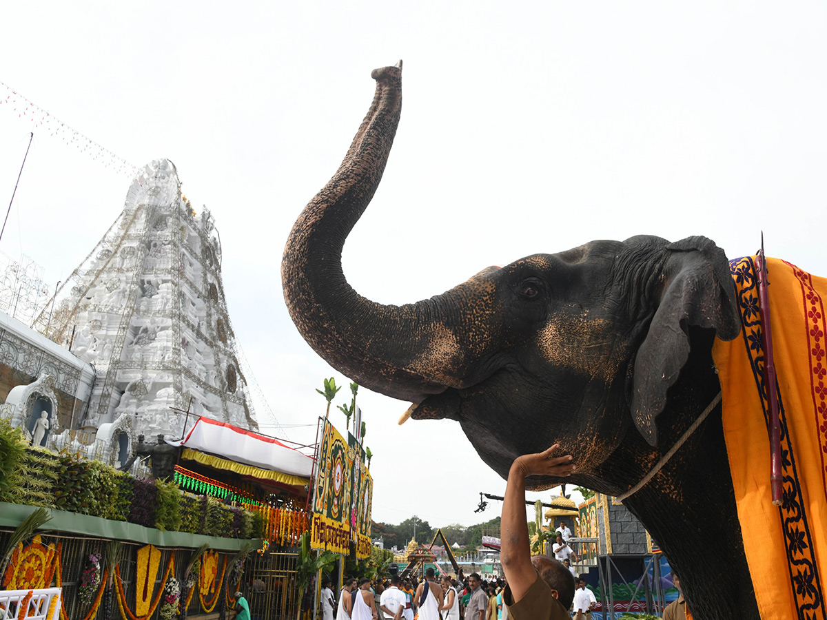 Tirumala Sri Venkateswara Swamy Brahmotsavam 20245