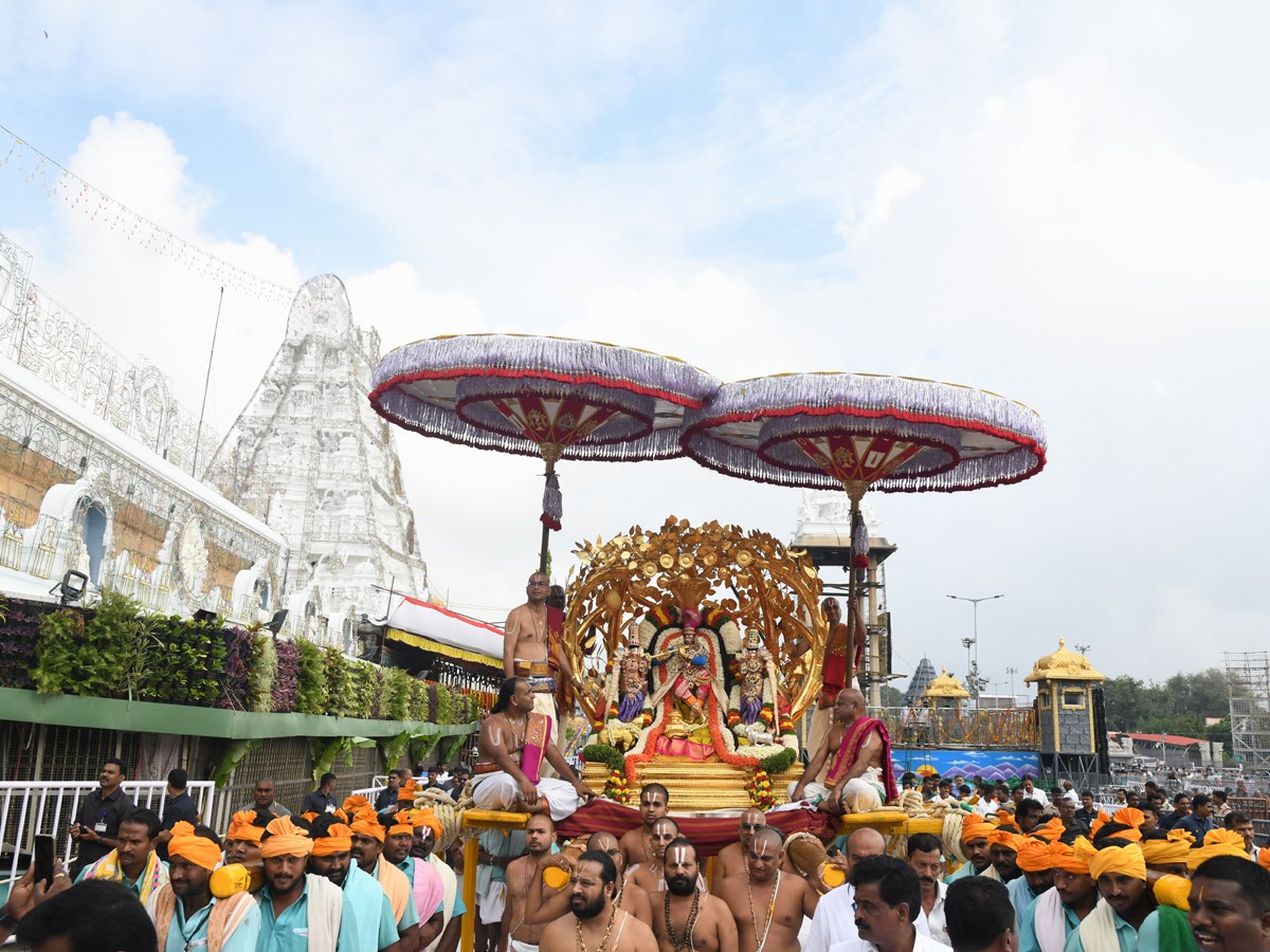 Kalpavriksha Vahana Seva Tirumala Brahmotsavam Day 42