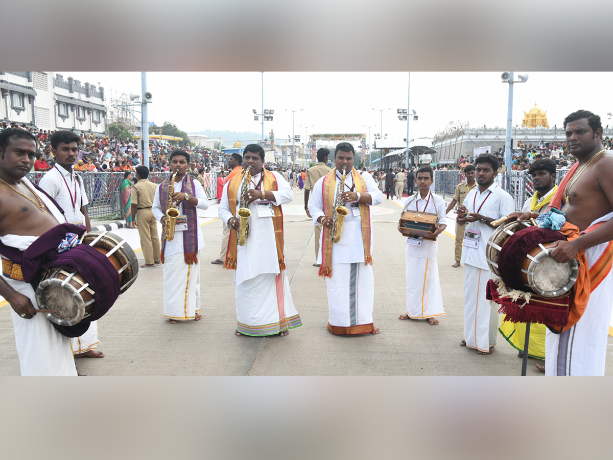 Kalpavriksha Vahana Seva Tirumala Brahmotsavam Day 440