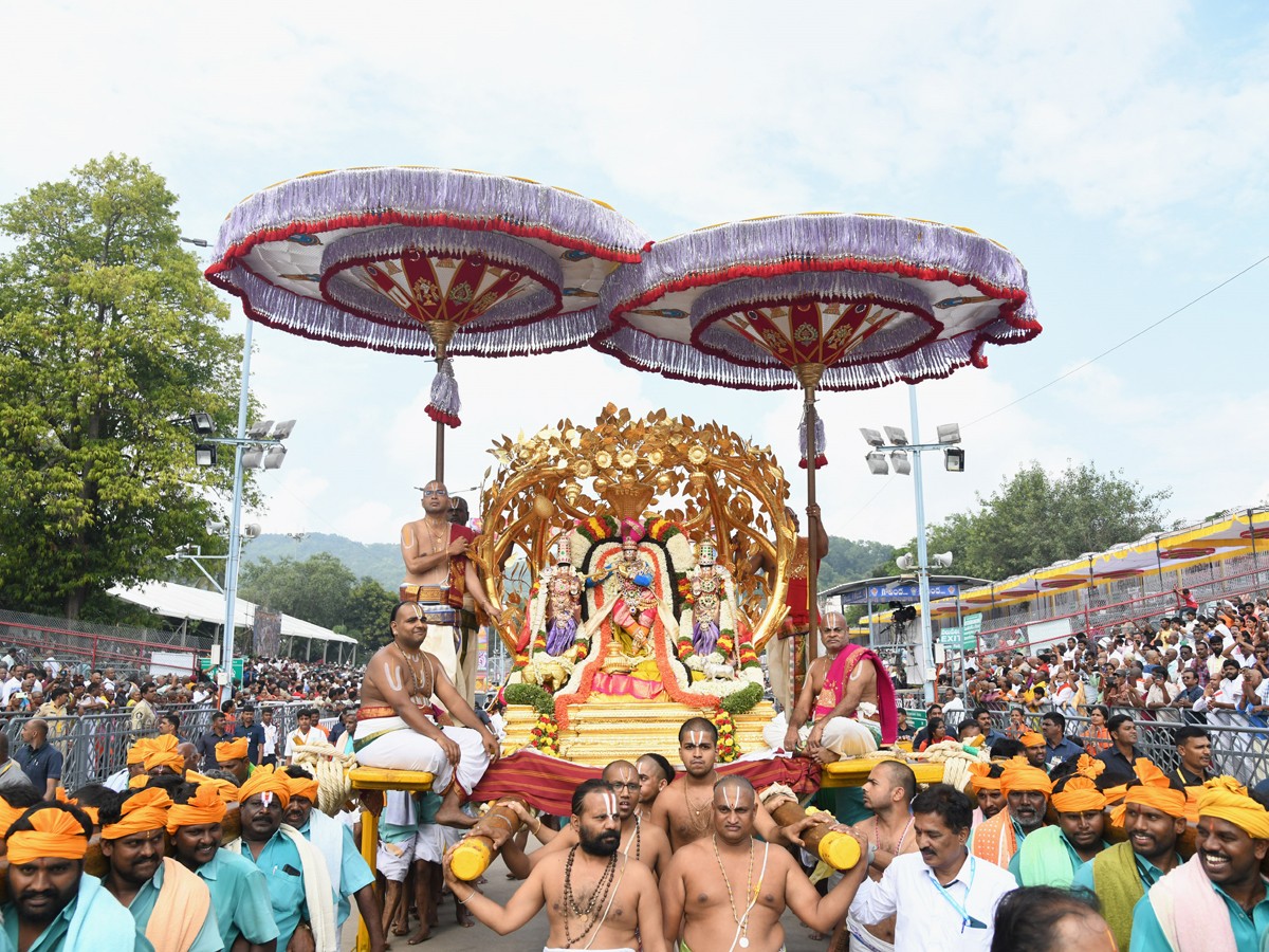 Kalpavriksha Vahana Seva Tirumala Brahmotsavam Day 46