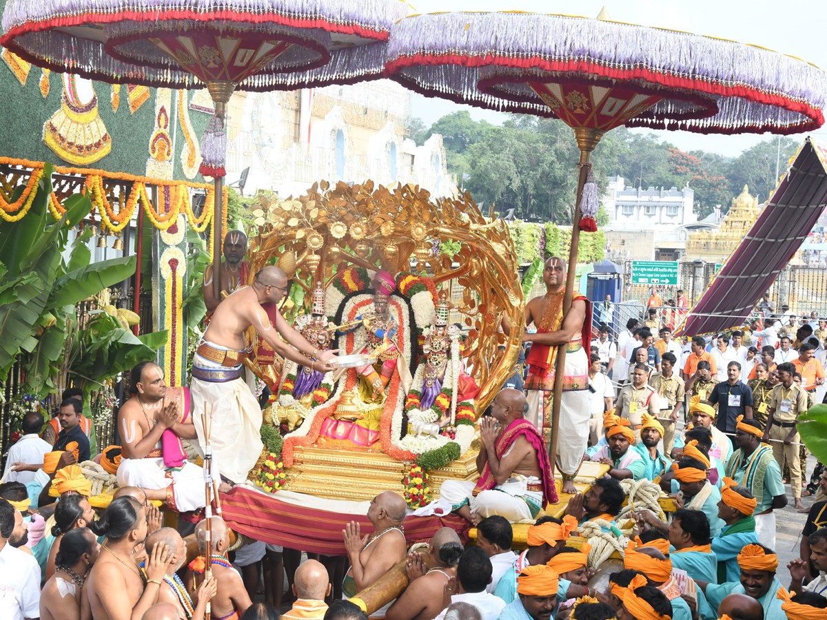 Kalpavriksha Vahana Seva Tirumala Brahmotsavam Day 410