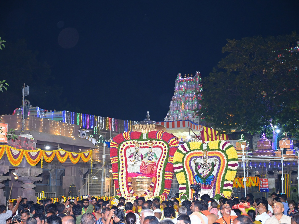 Dasara Devi Navaratrulu Celebrations In Srisailam12