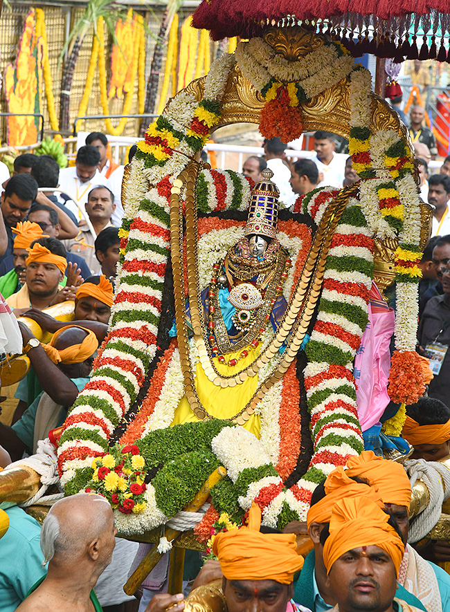 Tirumala : Mohini Avataram Brahmotsavam 2024 Photos20