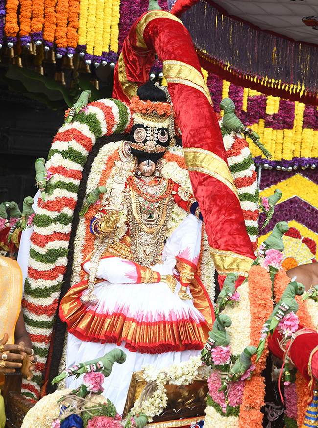 Tirumala : Mohini Avataram Brahmotsavam 2024 Photos28