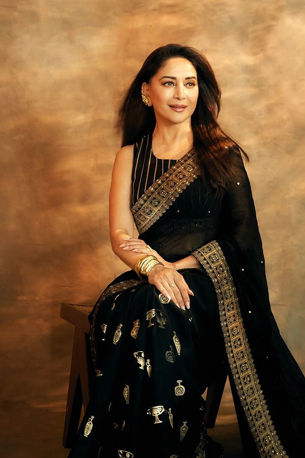 Bollywood Star actress Madhuri Dixit shares magical Photos in black saree Photos3