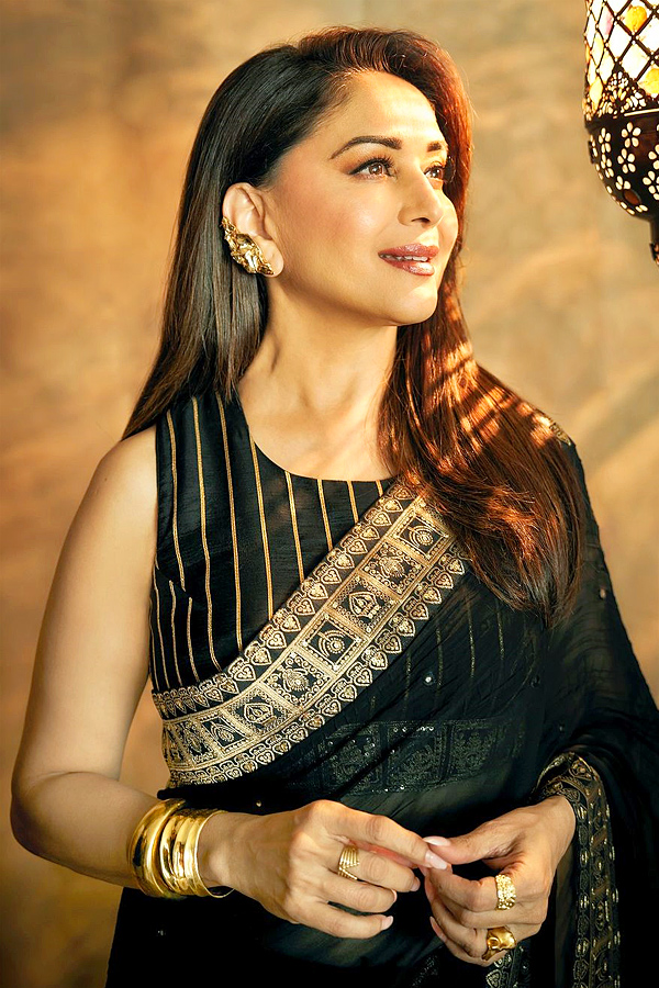 Bollywood Star actress Madhuri Dixit shares magical Photos in black saree Photos5