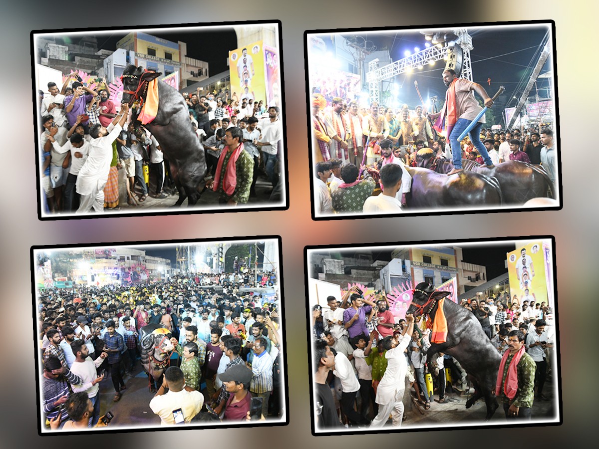 Sadar Festival Grand Celebrations At Narayanaguda1