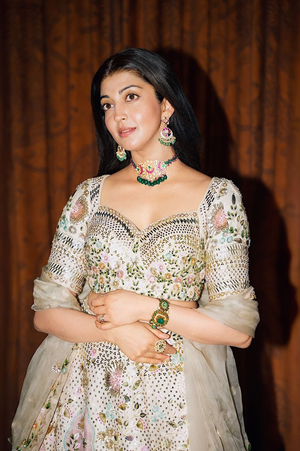 Tollywood Actress Pranitha Subhash Stunning Pose In Traditional Attire Photos Viral6