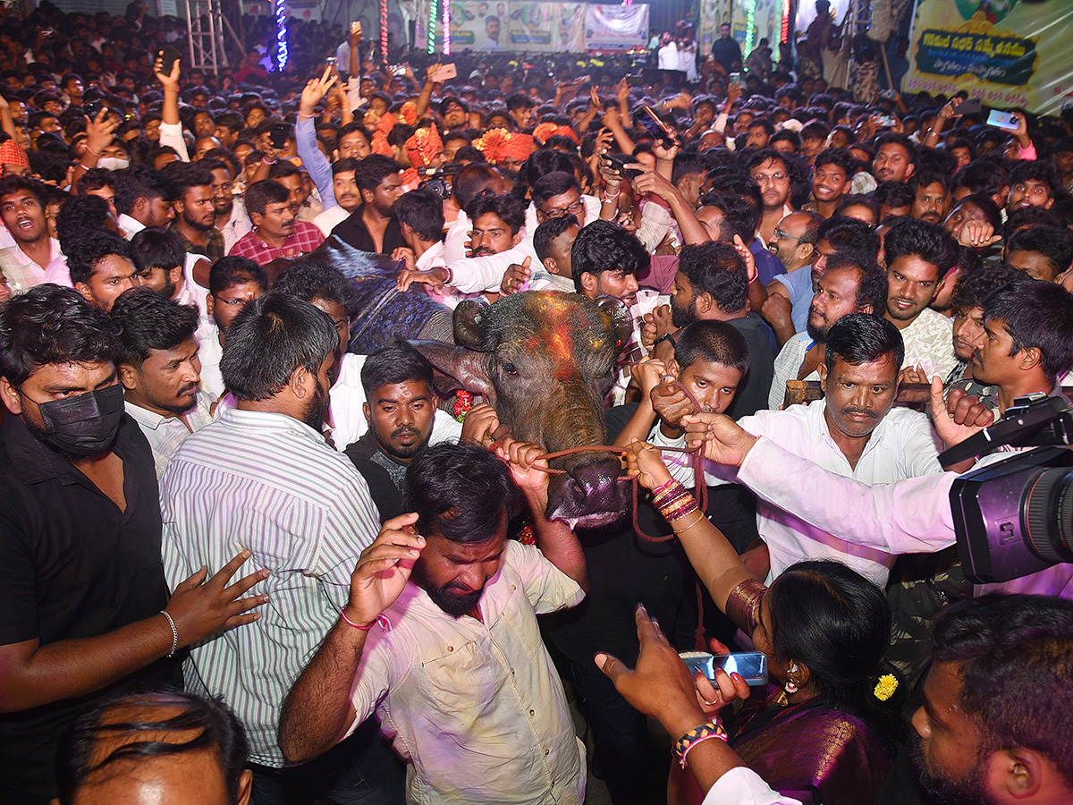 Sadar Festival at Hanamkonda Photos1