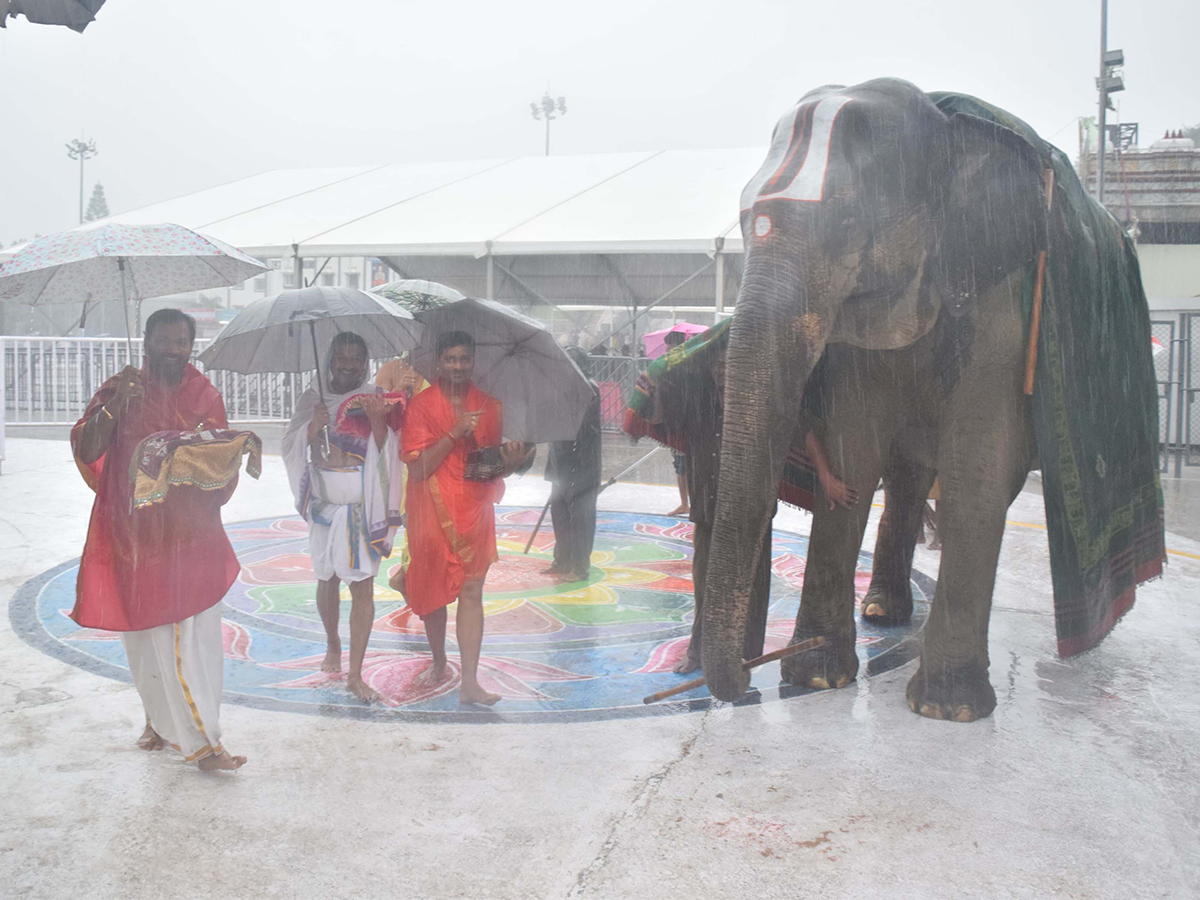 Heavy rain in tirumala today photos15