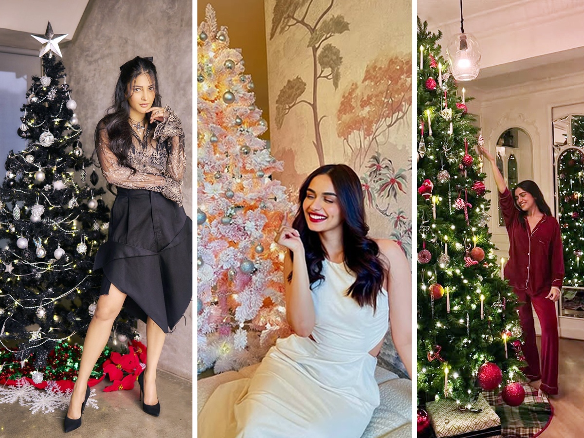 In Pics: Bhumi Pednekar to Alaya F, celebs give a glimpse of their Christmas decor1