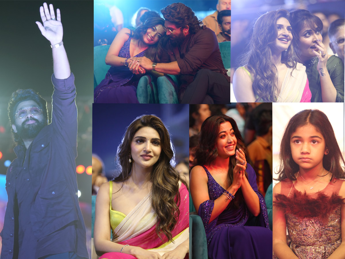 Hero Allu Arjun Pushpa 2 Pre Release Event At Hyderabad Photos1
