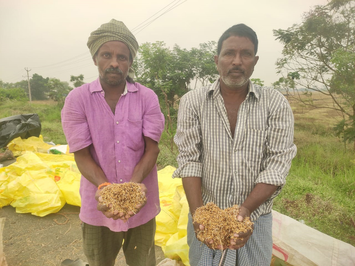 Cyclone Fengal Andhra Pradesh Photos1