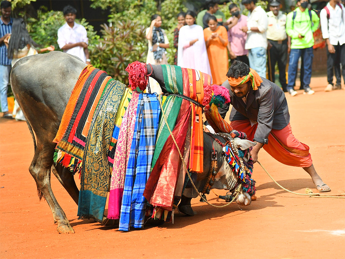 sankranti celebration 2025 at Vijayawada29