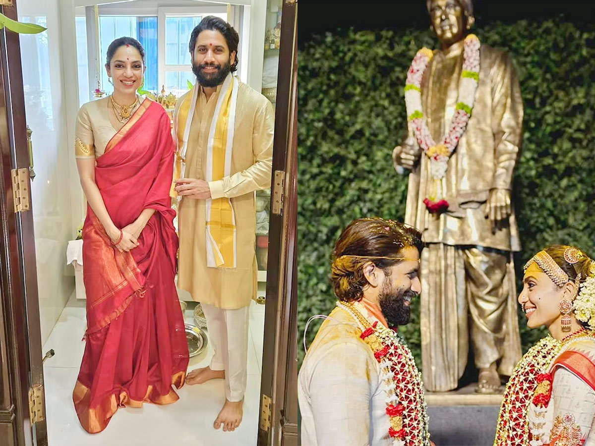 Nagarjuna on Naga Chaitanya and Akhil Akkineni Marriage Plans Photos1