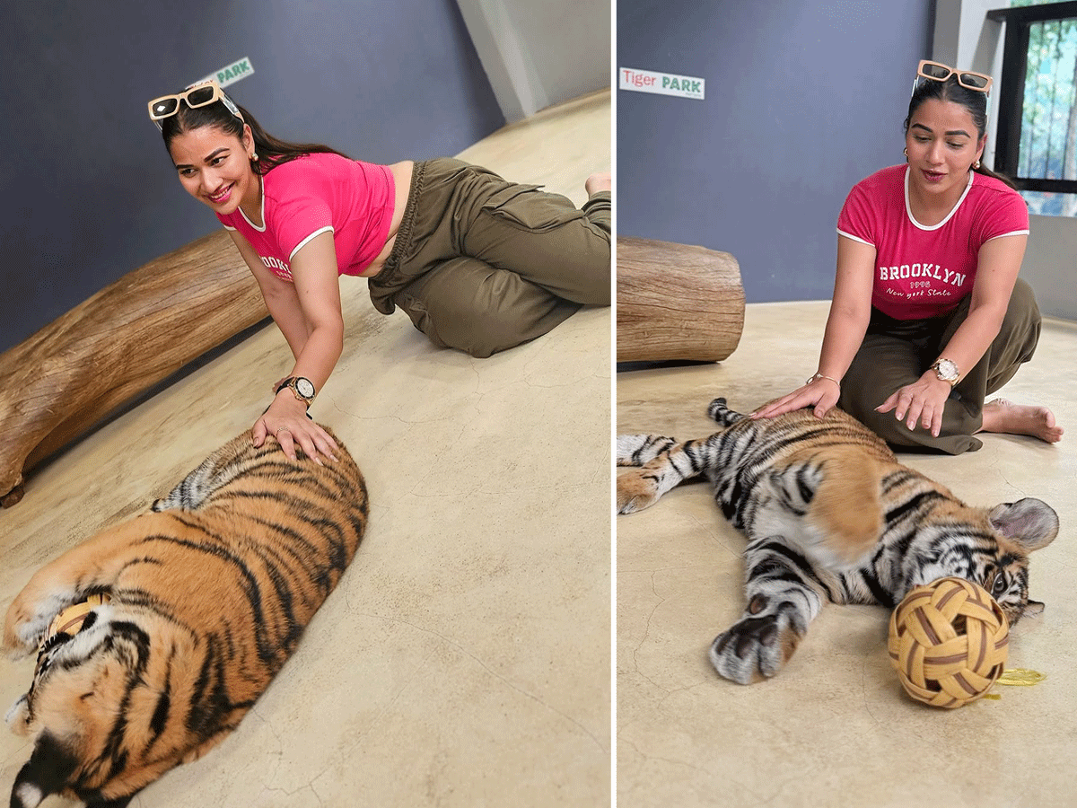 Inaya Sultana Playing Games With Tiger In Lion Park1