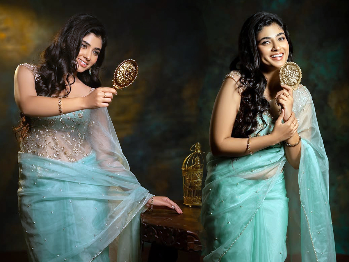 Pragya Nagra glamorous saree look photos1