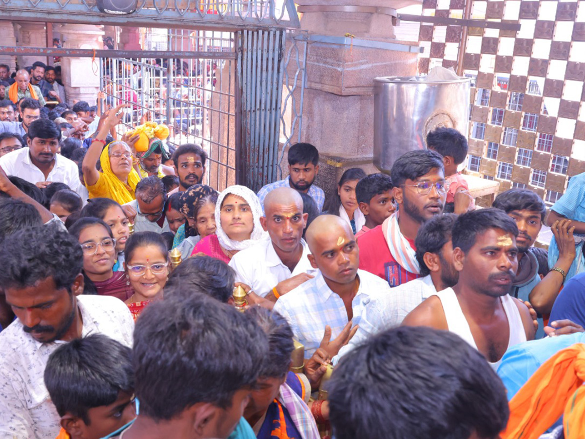 maha shivaratri 2025 celebrations at srisailam photos11