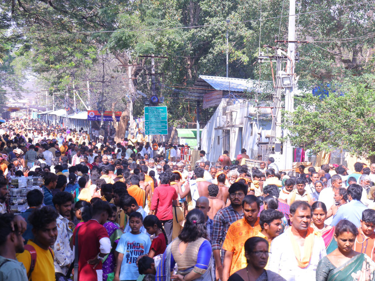 maha shivaratri 2025 celebrations at srisailam photos13