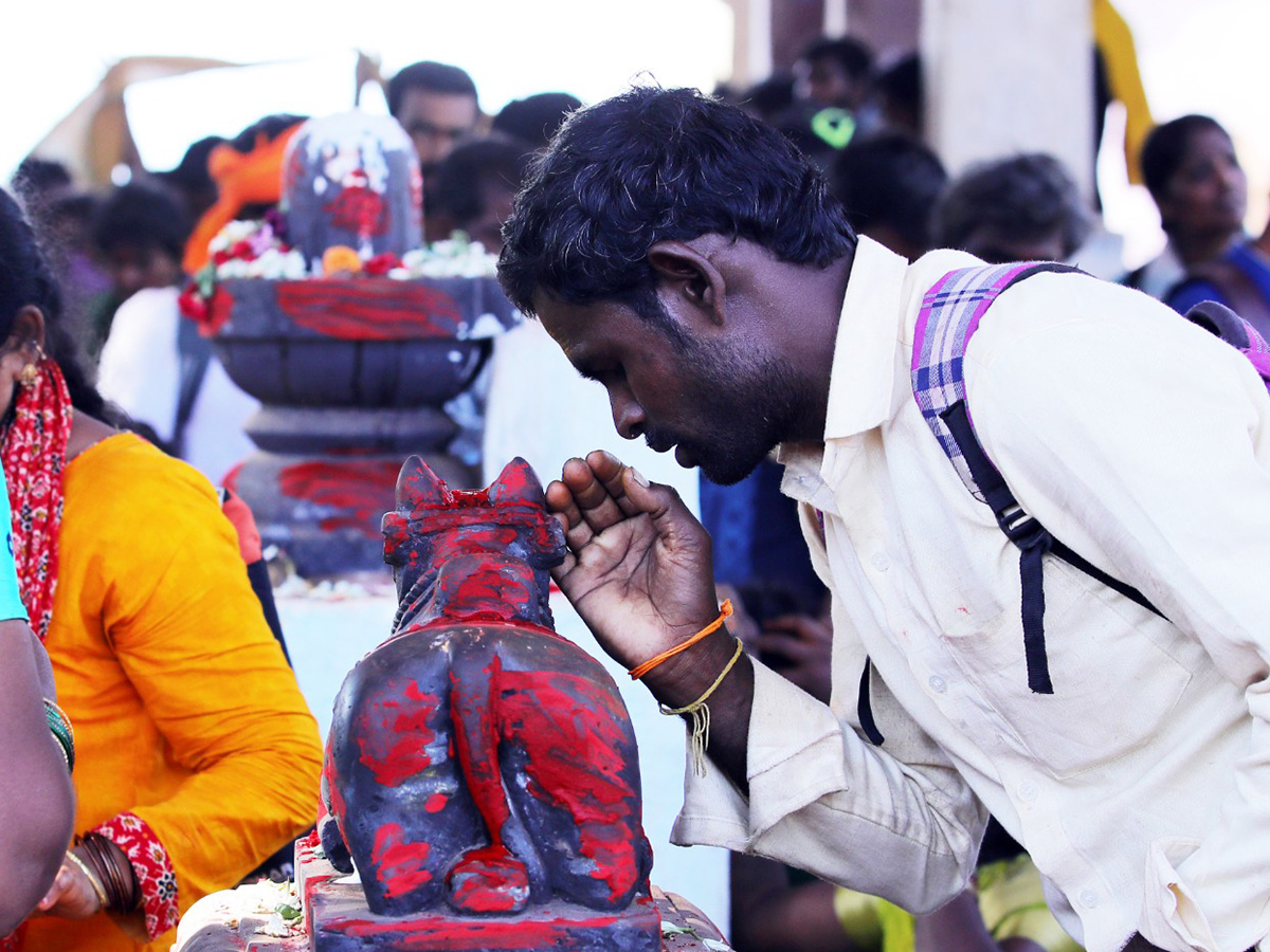 Maha Shivaratri : Devotees Rush at Srisailam Temple Photos3