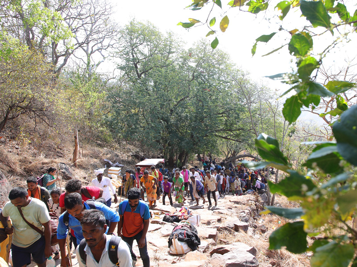 Maha Shivaratri : Devotees Rush at Srisailam Temple Photos6