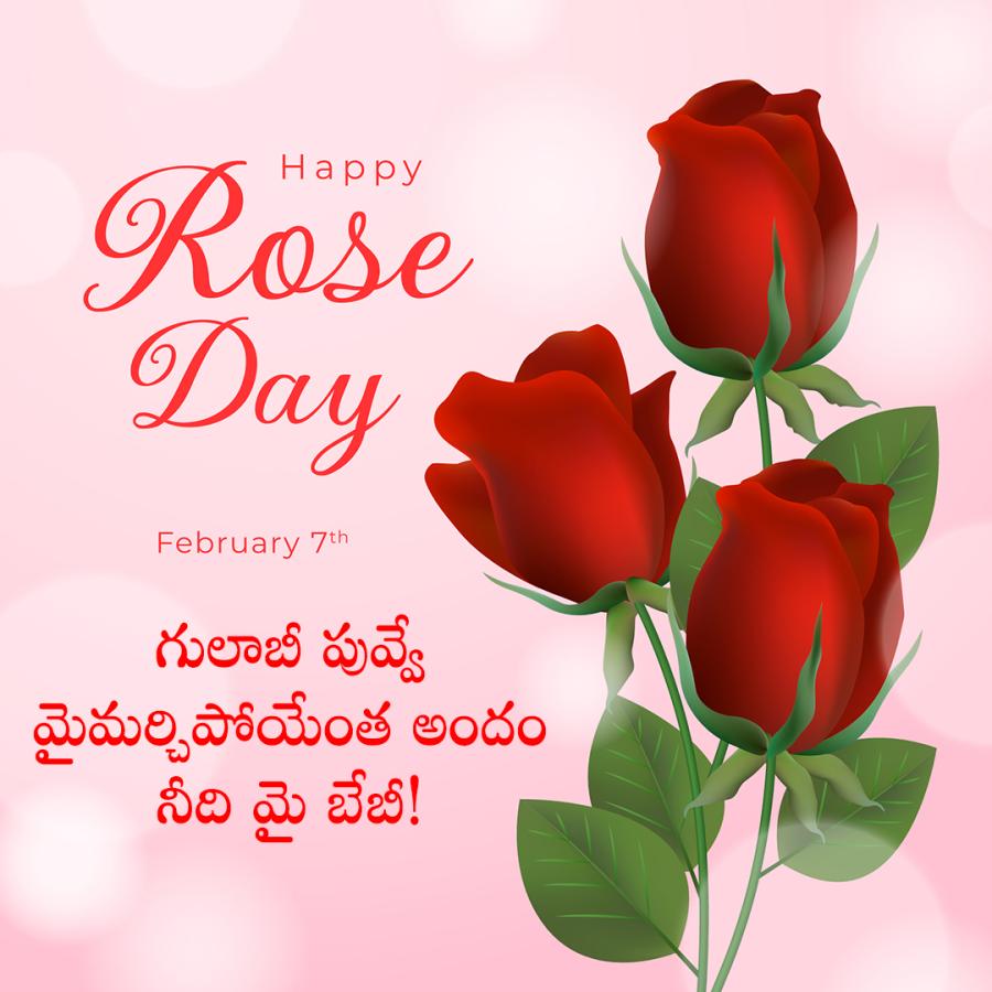 Happy Rose Day Quotes To Wish Your Valentine1