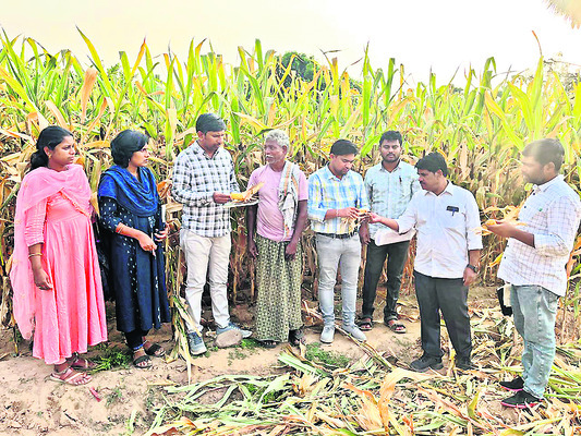 ఒగరుకాల్వ బుంగ పూడ్చివేత 
1
