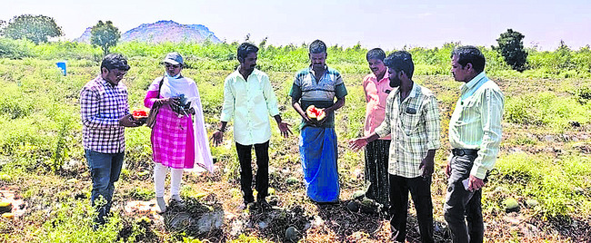 రూ.46 లక్షల విత్తనాలకు స్టాప్సేల్స్ 1