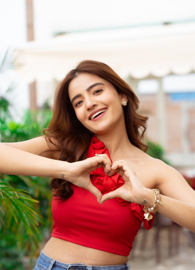 Dilruba Movie Heroine Rukshar Dhillon Photos8