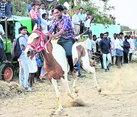 చికెన్4