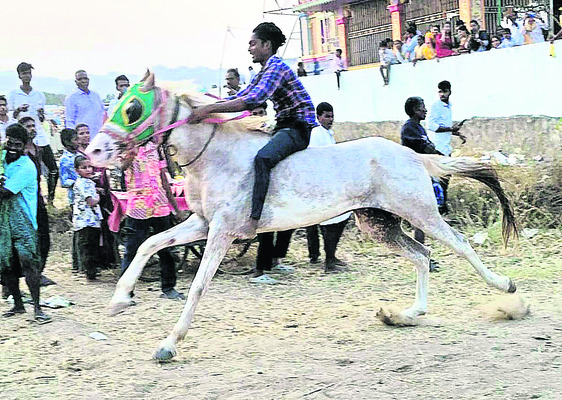 చికెన్3
