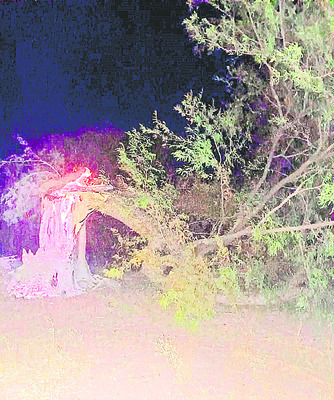 జిల్లాలో వైఎస్సార్‌ సీపీని నాశనం చేసిన ఘనత బాలినేనిది1