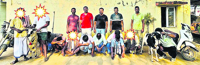 చికెన్‌3