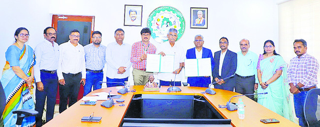 ప్రత్యామ్నాయ తడులు పెట్టాలి 
1