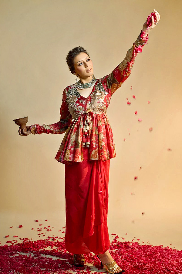 Interesting Facts About Actress Hansika Photos5