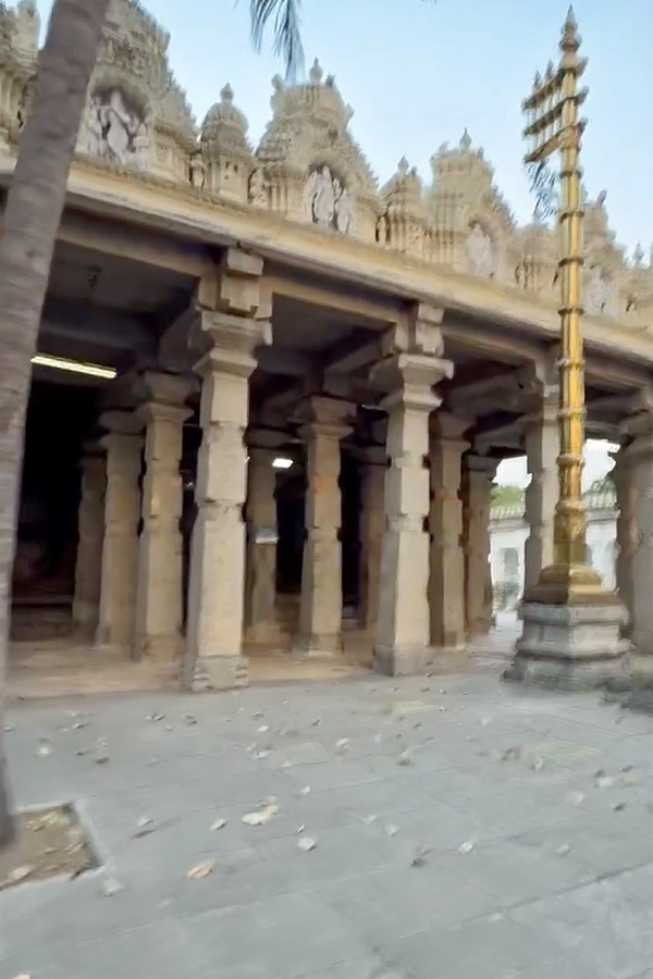 Bigg Boss contestant Ariyana Glory says Best Place IS Mysore Palace Photos10