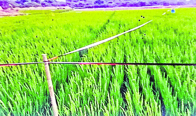 రక్షించుకుంటున్నాం
1