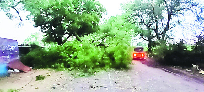 గాలి, వాన బీభత్సం 2