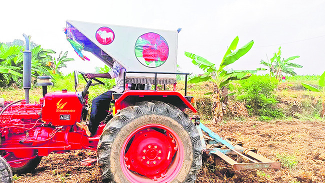 ప్రకాశించని పసుపు 2