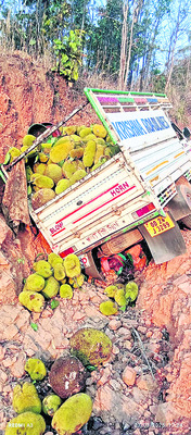 పనస కాయల లోడ్ వ్యాన్ బోల్తా : గిరిజన మహిళ మృతి1